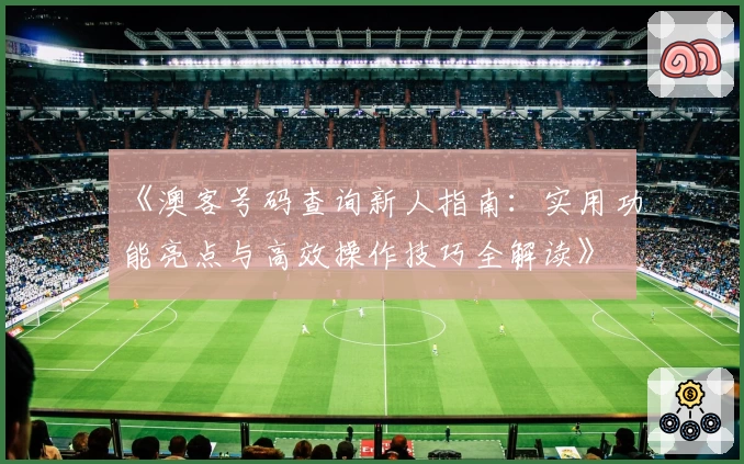 《澳客号码查询新人指南：实用功能亮点与高效操作技巧全解读》