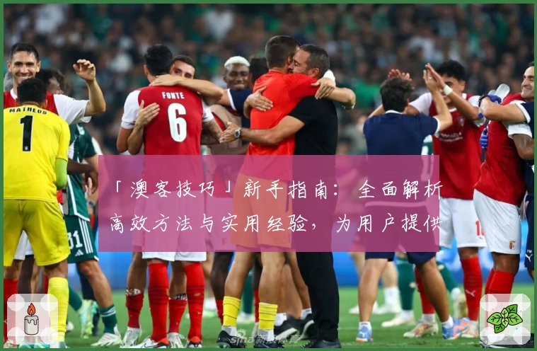 「澳客技巧」新手指南：全面解析高效方法与实用经验，为用户提供最佳入门参考